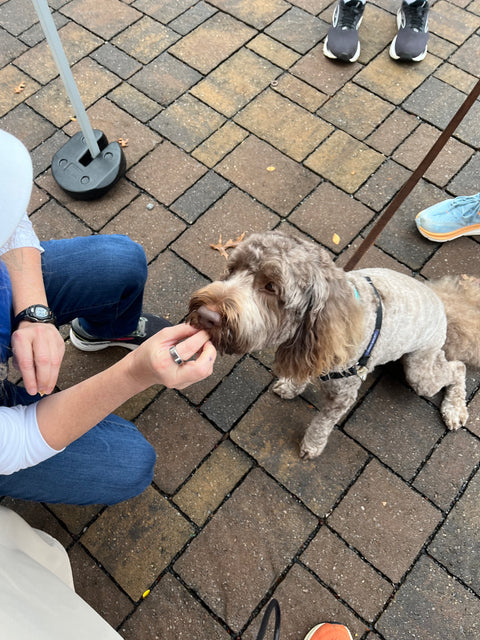 Even Picky Dogs Love Our Food ... Come By for a Taste Test