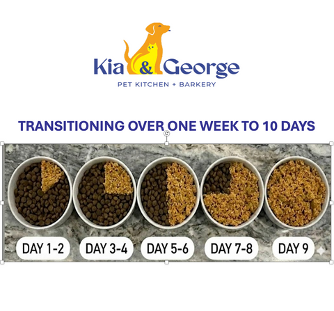 HOW TO TRANSITION YOUR DOG'S MEALS TO GENTLY COOKED DOG FOOD